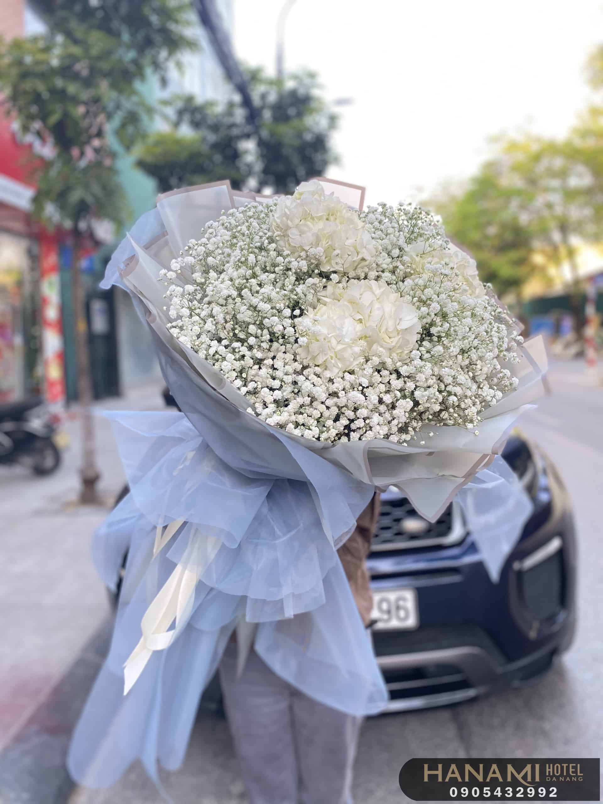  Ý nghĩa hoa cẩm tú cầu theo màu