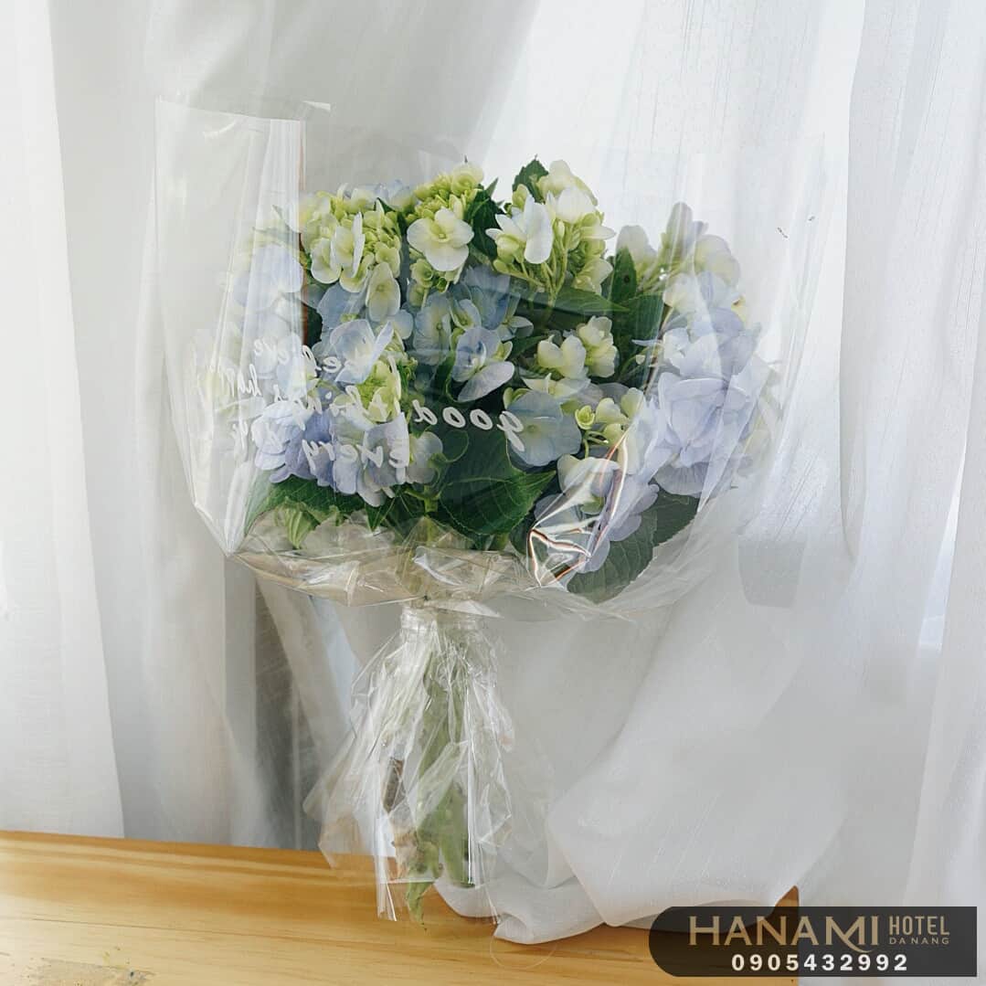 Tiết lộ 04 ý nghĩa hoa cẩm tú cầu xanh 6 ý nghĩa hoa cẩm tú cầu xanh