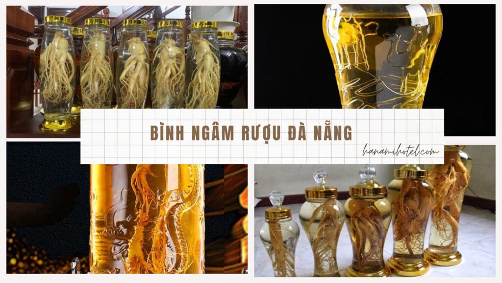 Top 5+ địa chỉ kinh doanh bình ngâm rượu Đà Nẵng uy tín giá rẻ 1 bình ngâm rượu Đà Nẵng
