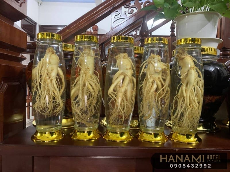 Top 5+ địa chỉ kinh doanh bình ngâm rượu Đà Nẵng uy tín giá rẻ 6 bình ngâm rượu Đà Nẵng