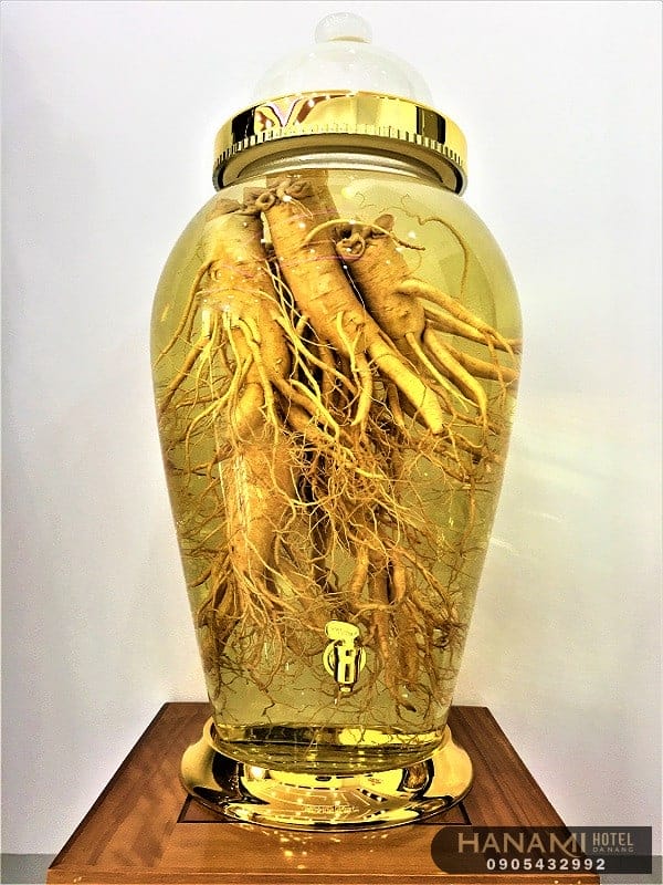 Top 5+ addresses for liquor-infusing jars in Da Nang 6 liquor-infusing jars in Da Nang