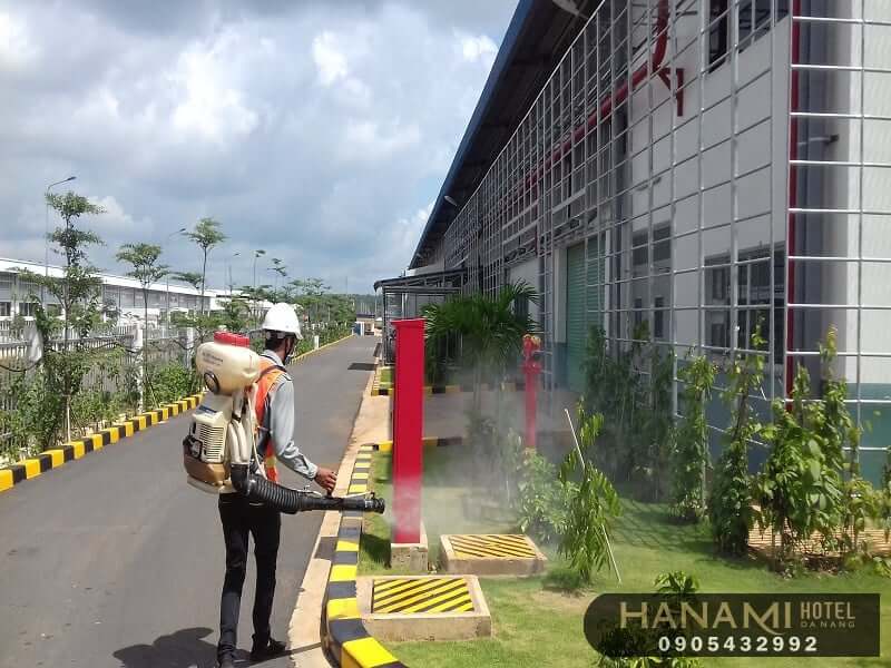 mua thuốc diệt chuột ở Đà Nẵng