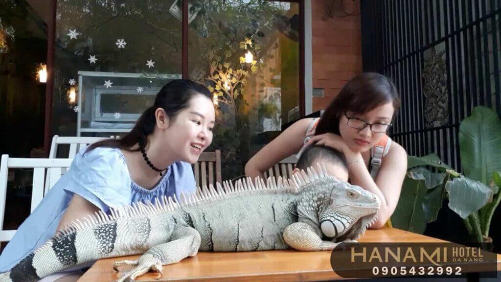 Top 8 Pet Cafes in Da Nang That Will Warm Your Heart 5 pet cafes in da nang