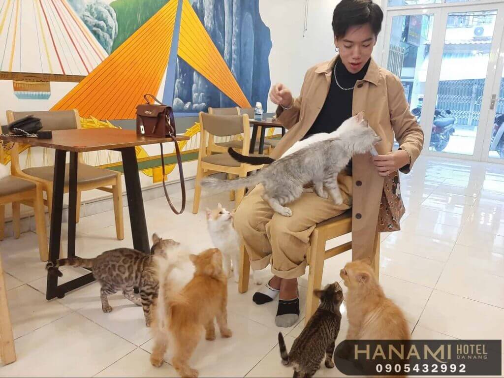 Top 8 Pet Cafes in Da Nang That Will Warm Your Heart 11 pet cafes in da nang