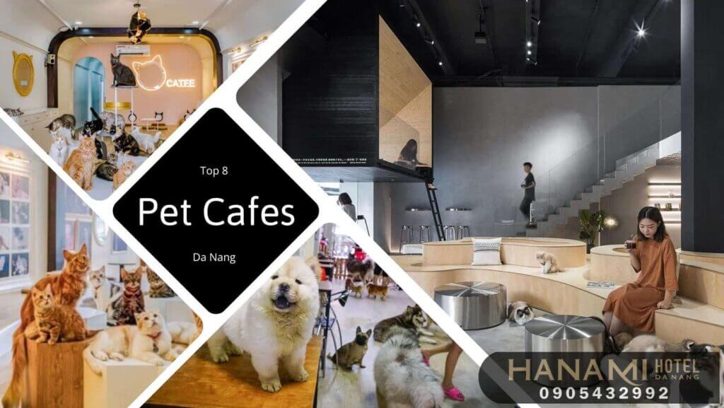 pet cafes in da nang