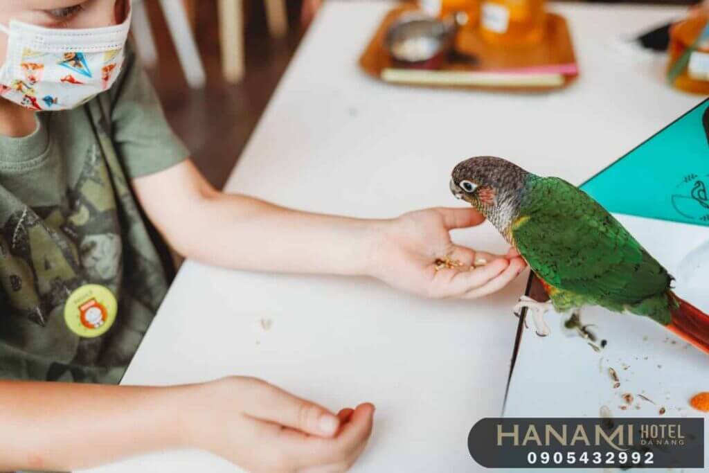 Top 8 Pet Cafes in Da Nang That Will Warm Your Heart 4 pet cafes in da nang