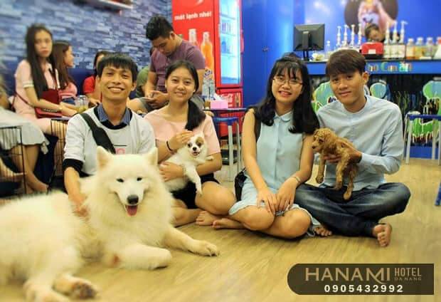 Top 8 Pet Cafes in Da Nang That Will Warm Your Heart 12 pet cafes in da nang