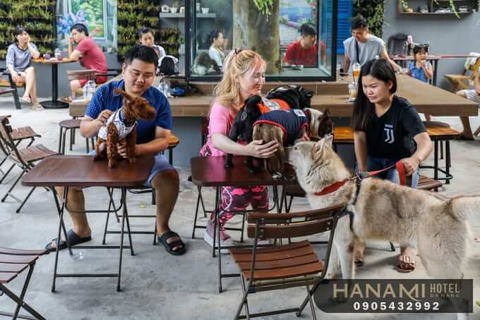 Top 8 Pet Cafes in Da Nang That Will Warm Your Heart 6 pet cafes in da nang