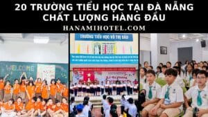 trường tiểu học tại đà nẵng