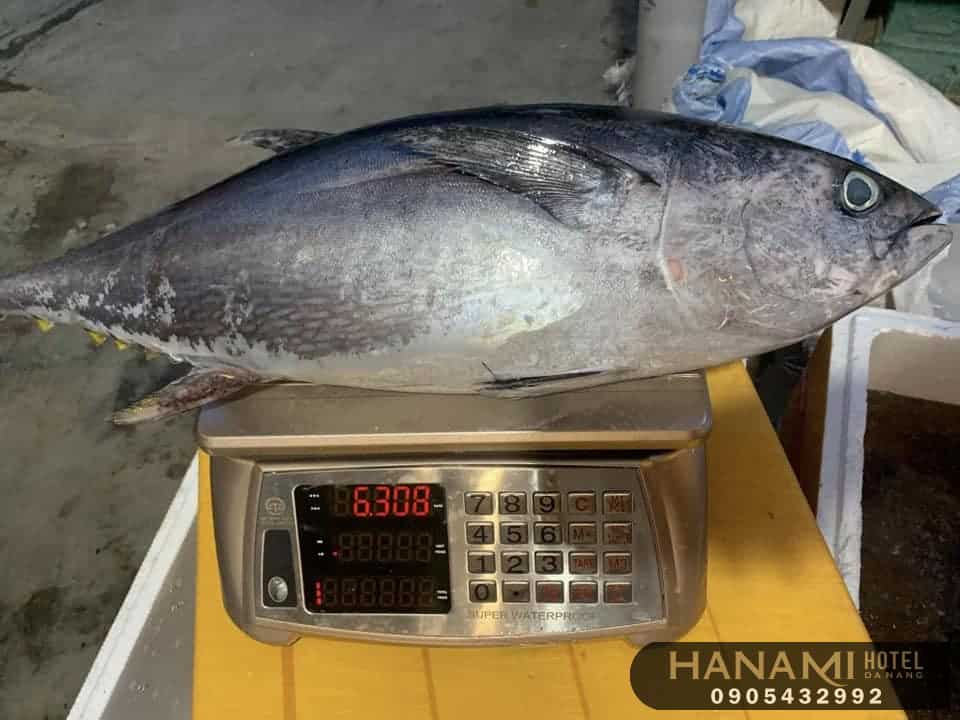 electronic scale stores in da nang