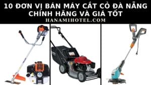 10 đơn vị bán máy cắt cỏ Đà Nẵng chính hãng và giá tốt 1 bán máy cắt cỏ Đà Nẵng