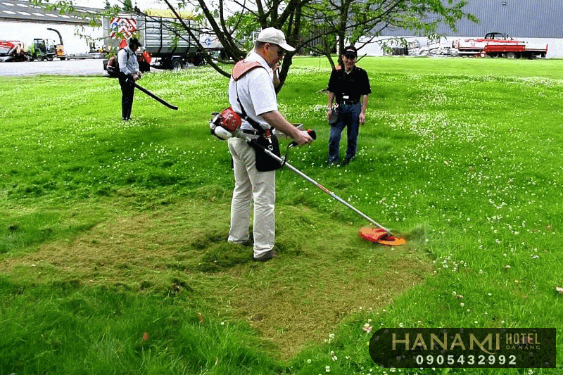 Top 10 best addresses to buy lawn mowers in Da Nang 5 best addresses to buy lawn mowers in da nang