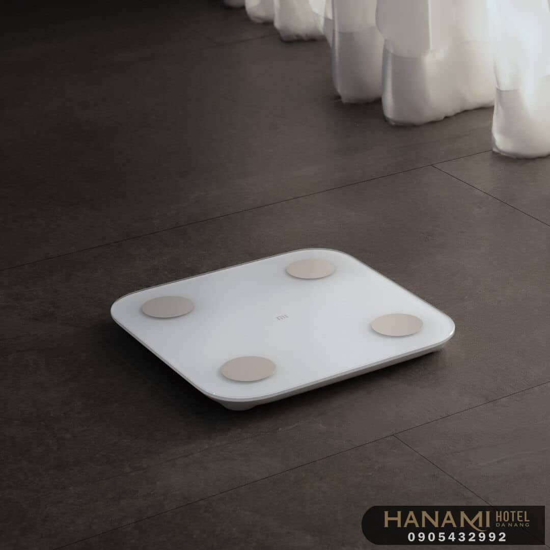 cân điện tử tại đà nẵng