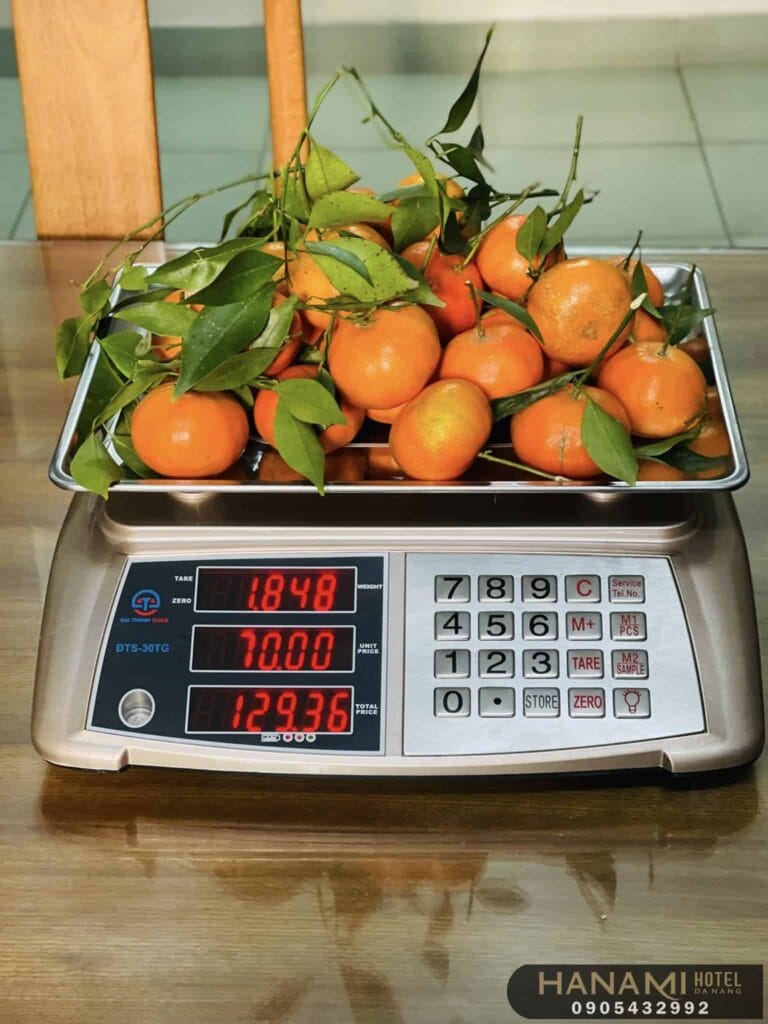 electronic scale stores in da nang