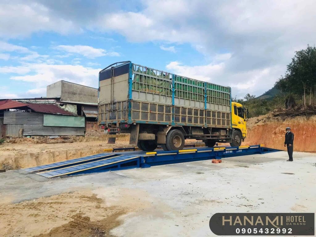 Best Electronic Scale Stores in Da Nang