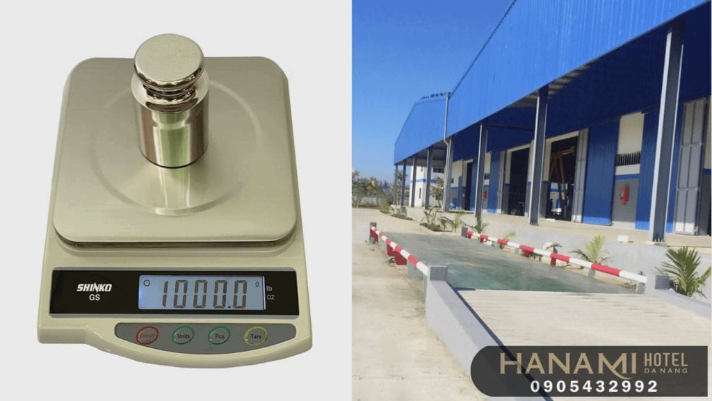 Best Electronic Scale Stores in Da Nang