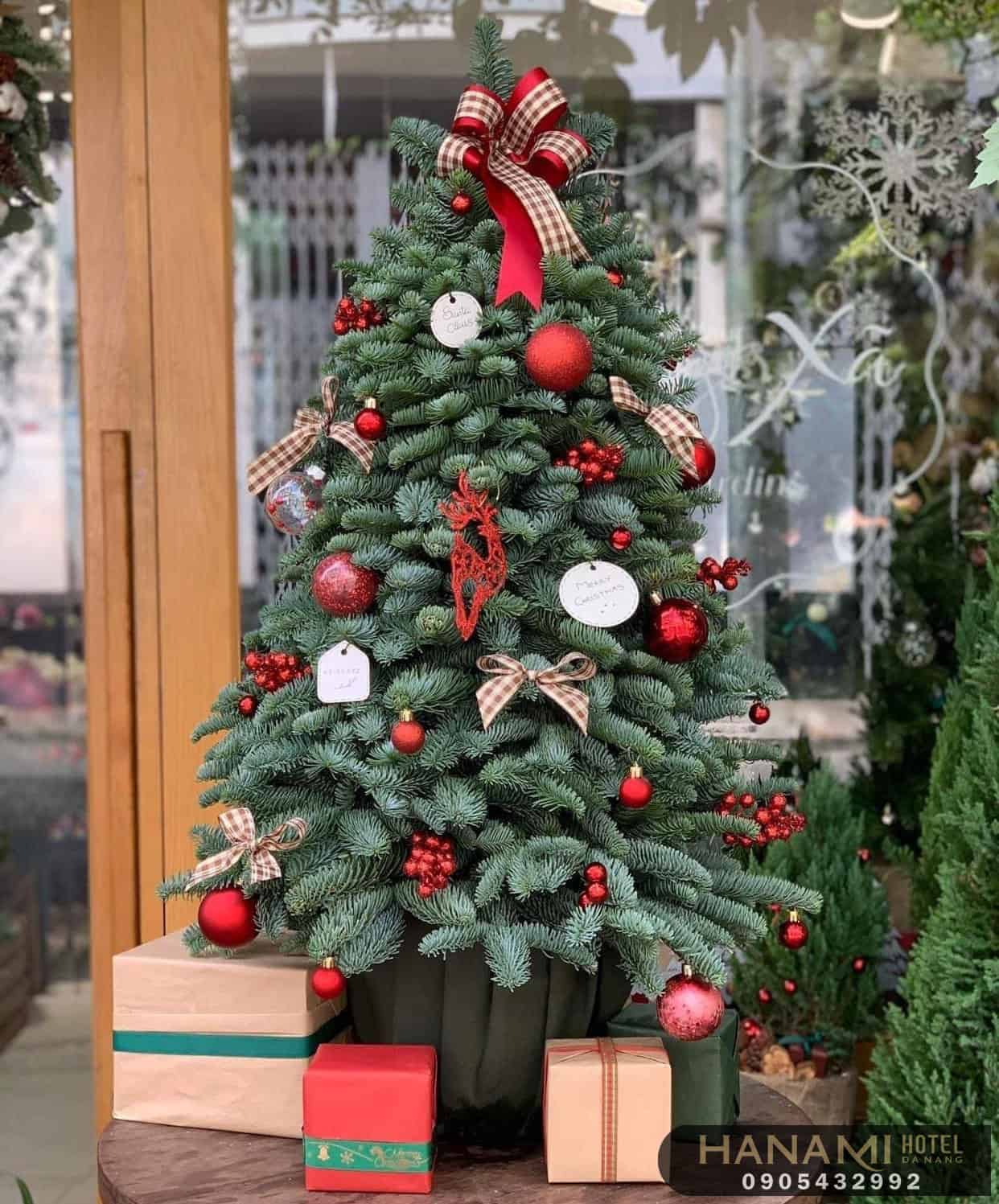 Top 13 best addresses for selling Christmas trees in Da Nang 13 selling christmas trees in da nang