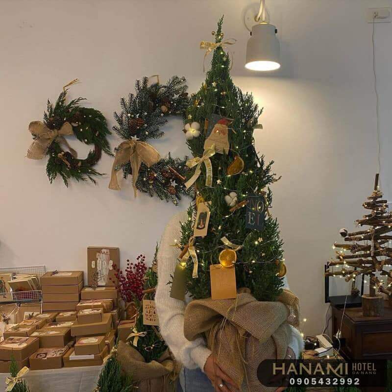 Top 13 best addresses for selling Christmas trees in Da Nang 3 selling christmas trees in da nang