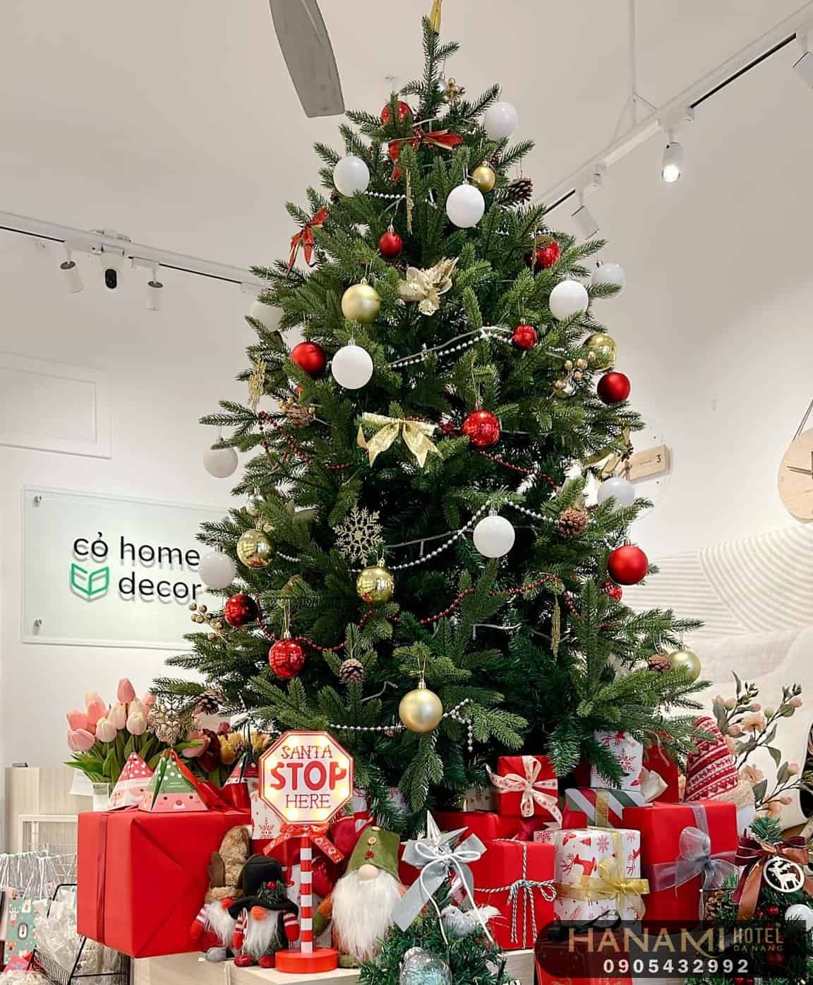 Top 13 best addresses for selling Christmas trees in Da Nang 6 selling christmas trees in da nang