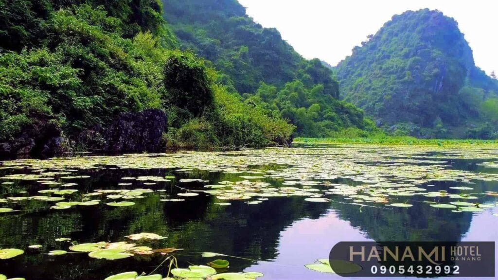  tour du lịch giá rẻ trong nước