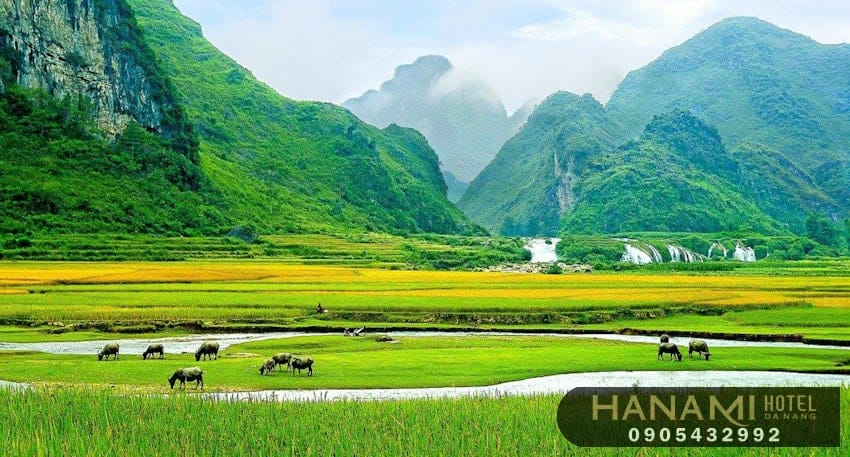  tour du lịch giá rẻ trong nước