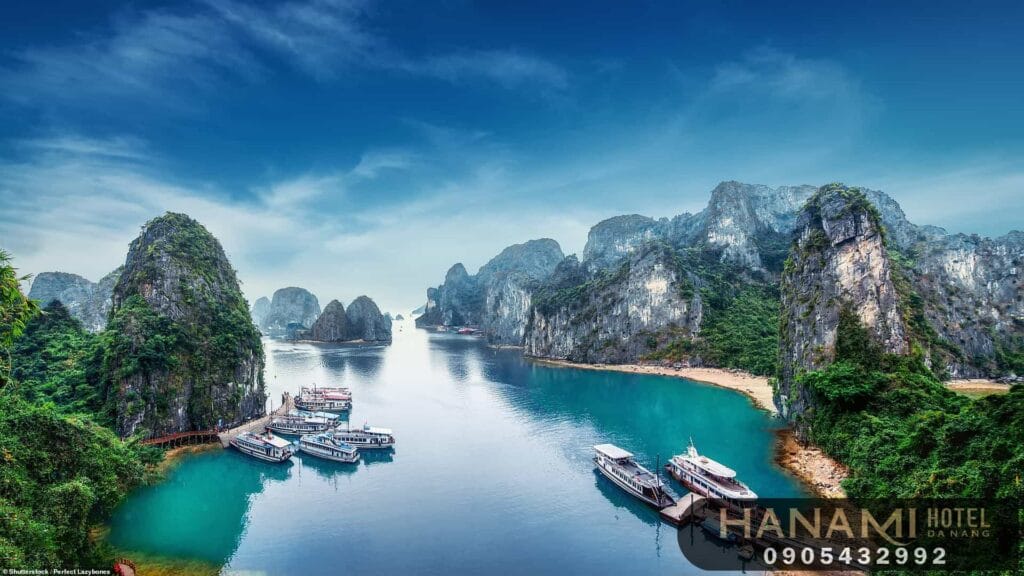 Best cheap domestic tour 2024