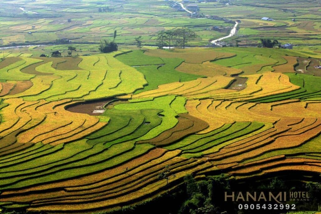 Best cheap domestic tour 2024