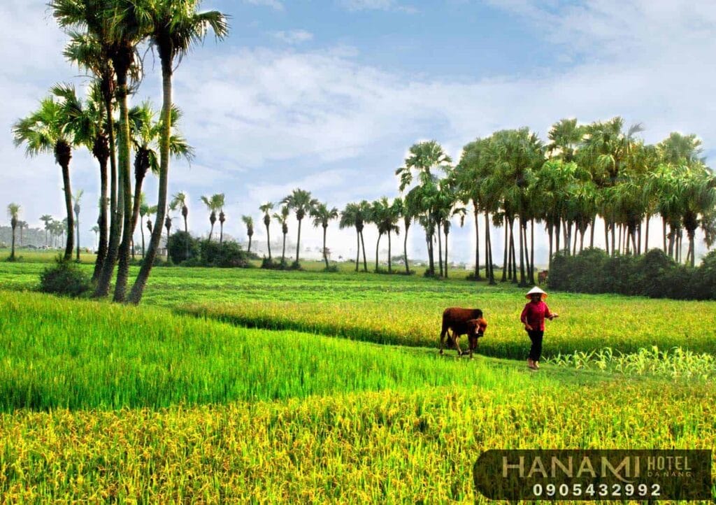 Best cheap domestic tour 2024