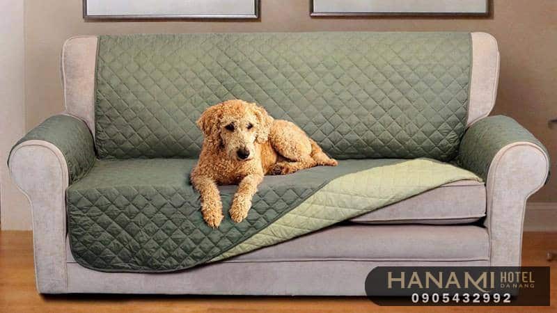16 địa chỉ bán bọc ghế sofa tại đà nẵng đẹp và chất lượng 9 bọc ghế sofa tại đà nẵng