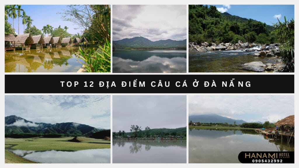 địa điểm câu cá ở Đà Nẵng