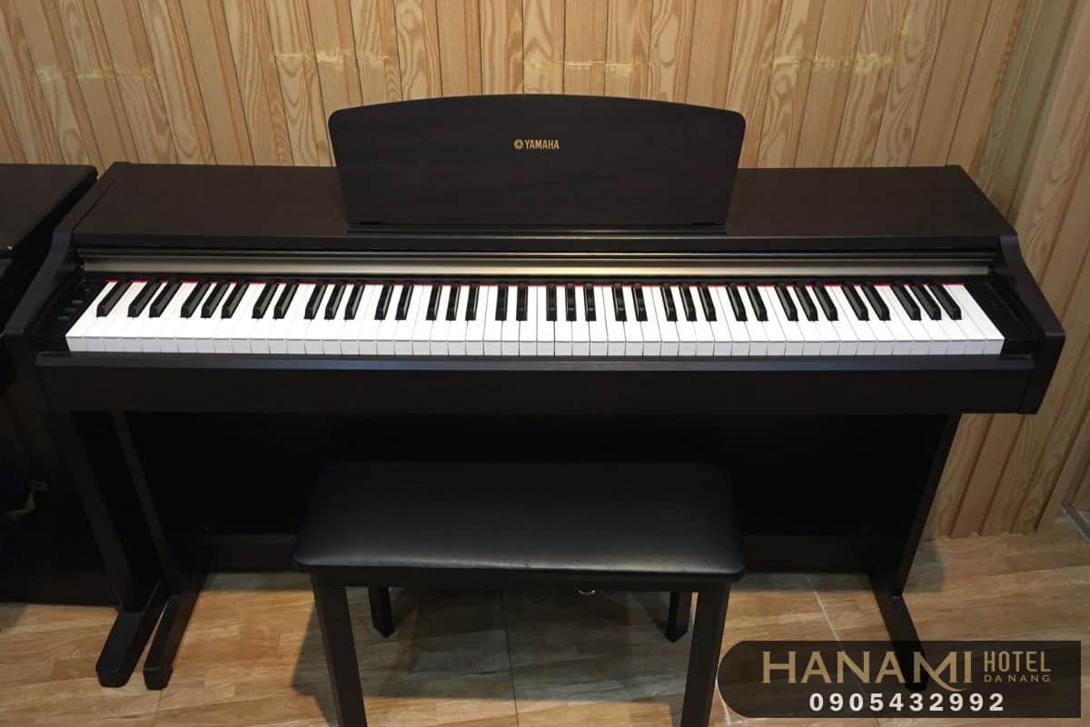 đàn piano Đà Nẵng 