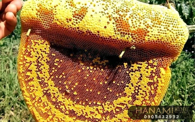 địa chỉ bán mật ong Đà Nẵng