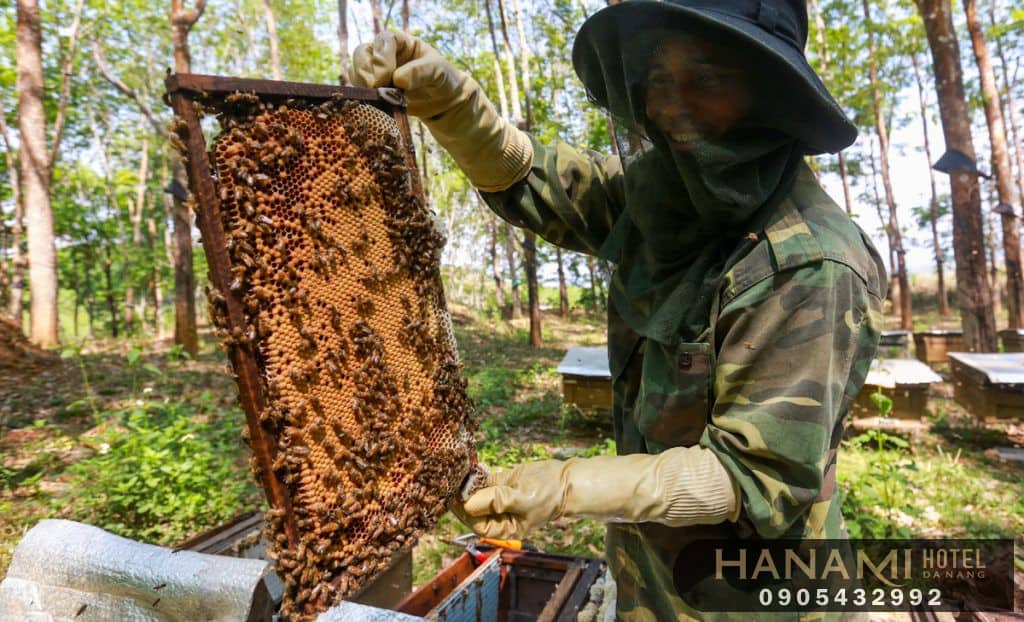 địa chỉ bán mật ong Đà Nẵng