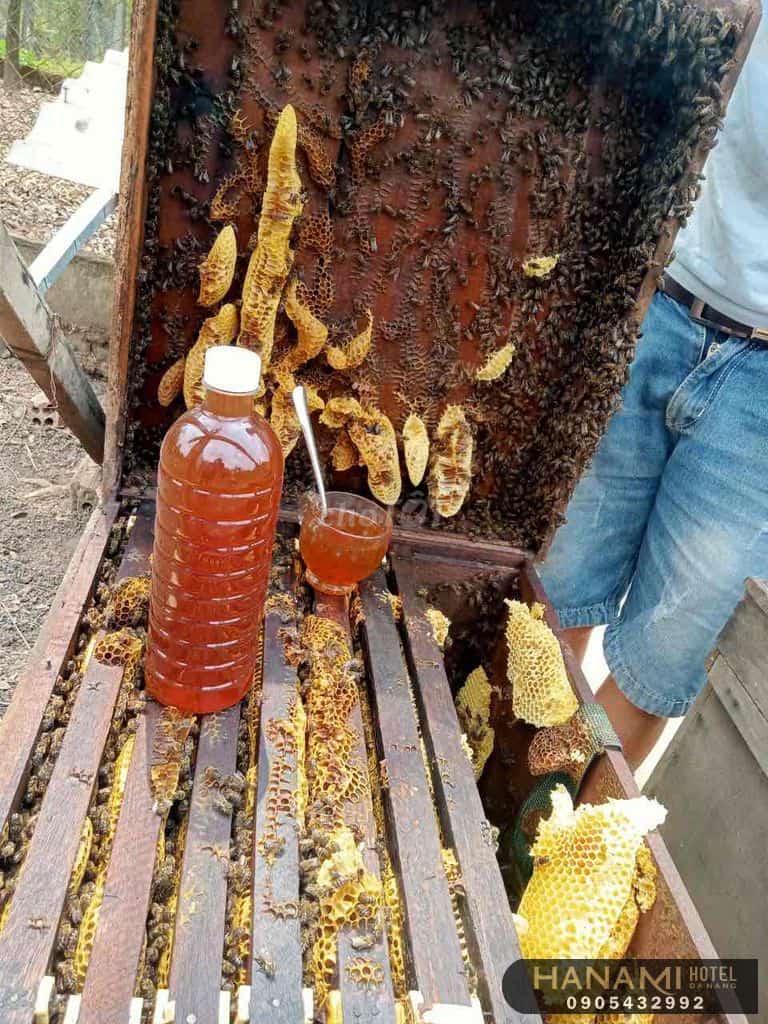 địa chỉ bán mật ong Đà Nẵng
