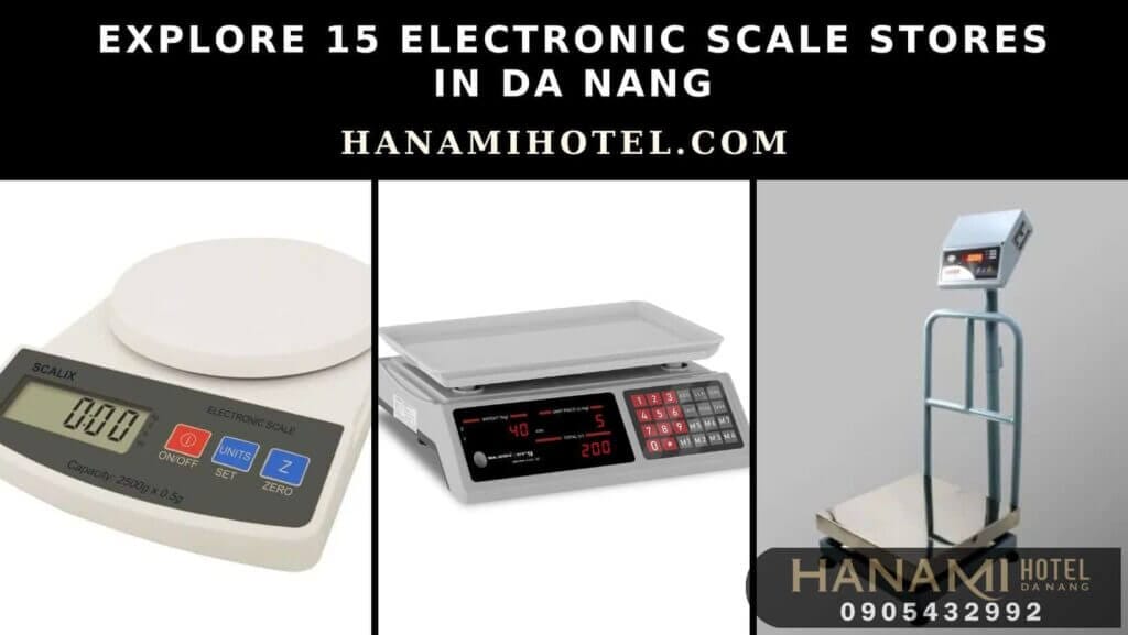 electronic scale stores in da nang