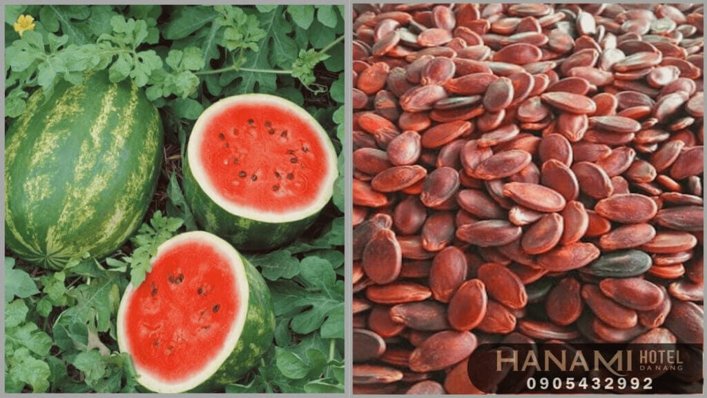 best watermelon seed shops in da nang