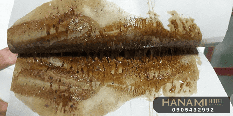 mua keo dính chuột ở Đà Nẵng