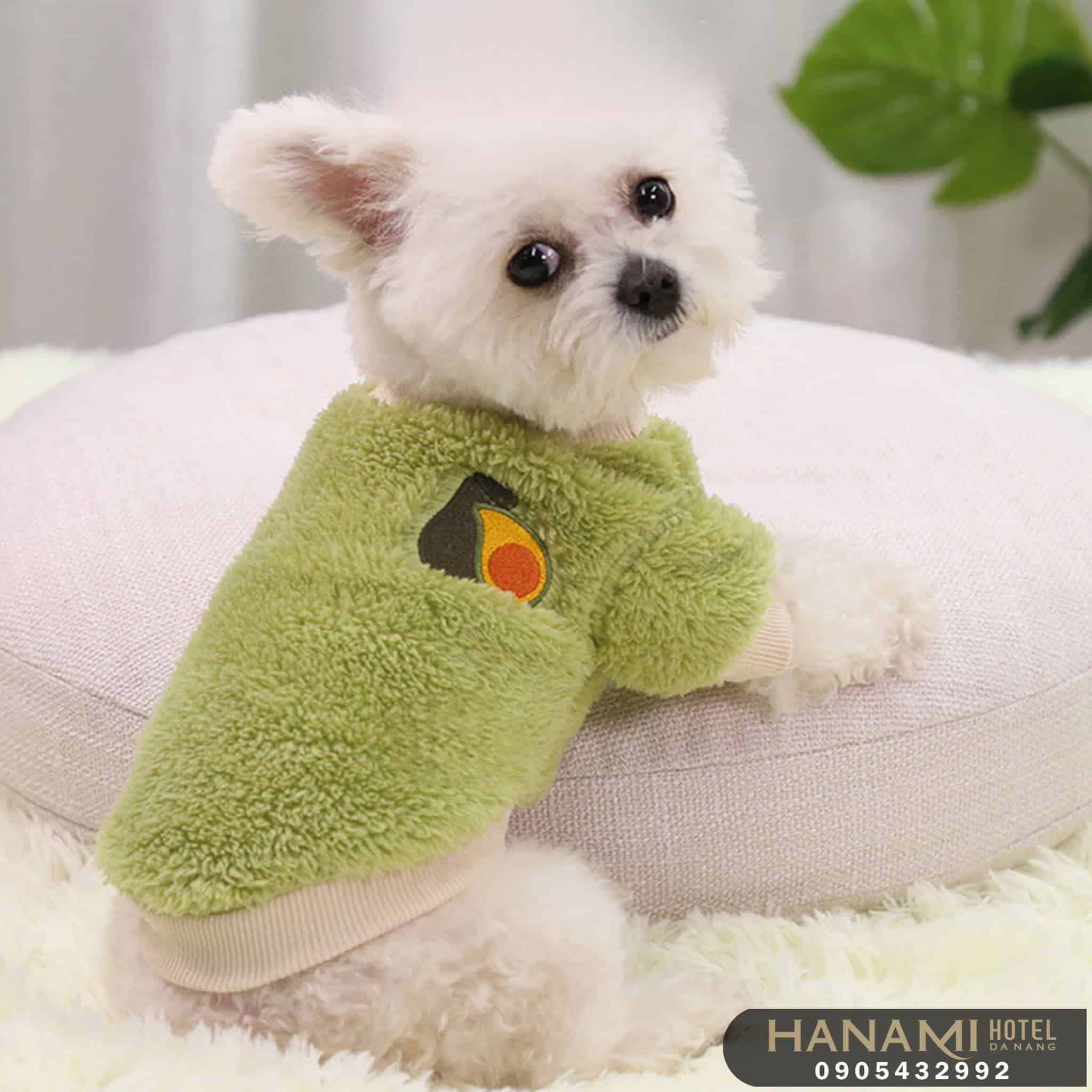 12 shop bán chó cảnh ở Đà Nẵng đẹp, giá tốt nhất 8 shop bán chó cảnh ở Đà Nẵng