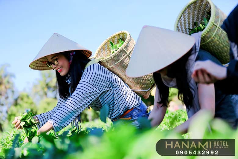 What is a tourism product? Classification of tourism product services 4 What is a tourism product? Classification of tourism product services