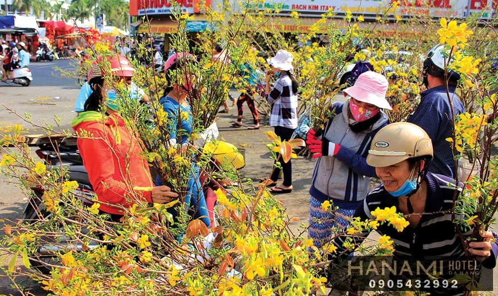 địa điểm bán hoa mai đẹp Đà Nẵng 