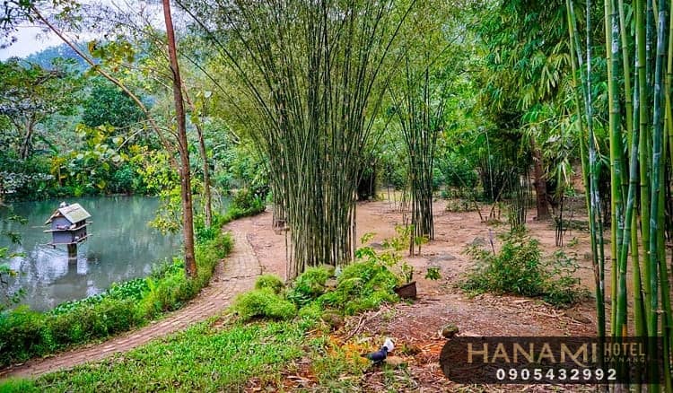 du lịch bụi Đà Nẵng