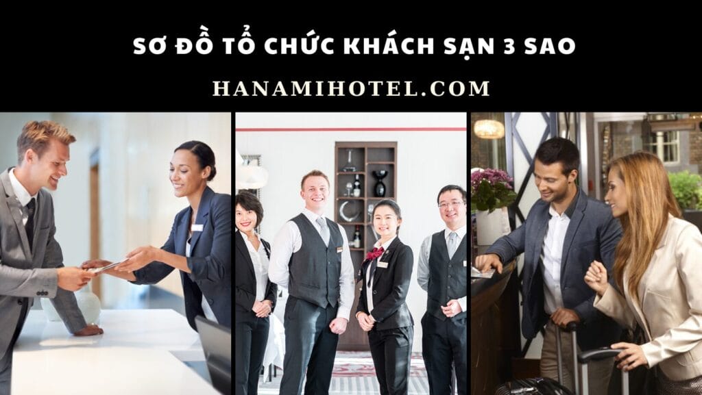 Sơ đồ tổ chức khách sạn 3 sao