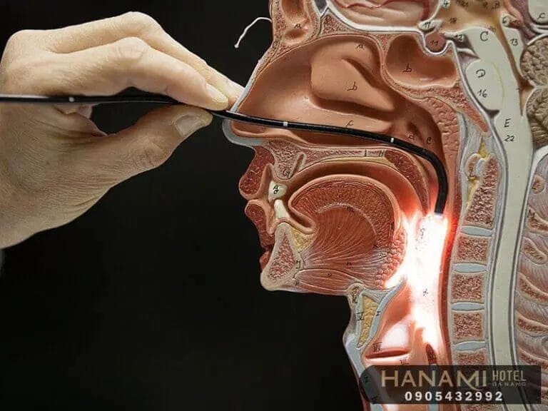 Best Otolaryngology Clinics in Danang