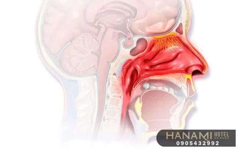 Best Otolaryngology Clinics in Danang