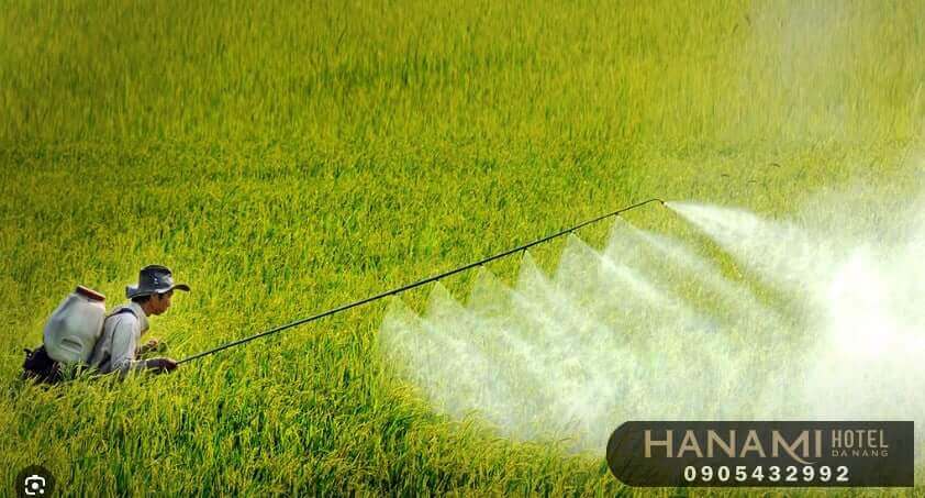 Da Nang Chemical Company