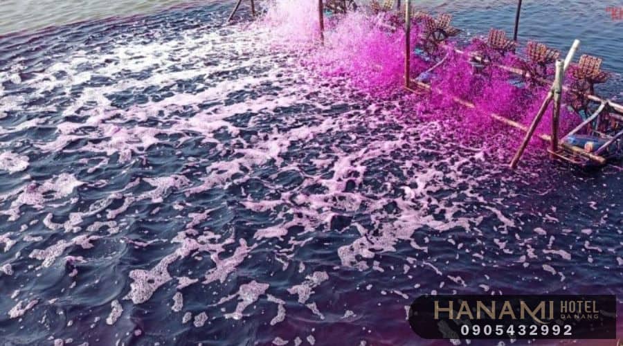 Da Nang Chemical Company