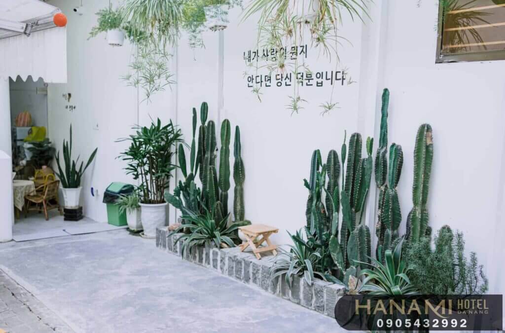 Top 18 Best Korean-style cafes in Da Nang, Reviews by Hanami 5 best Korean-style cafes in Da Nang