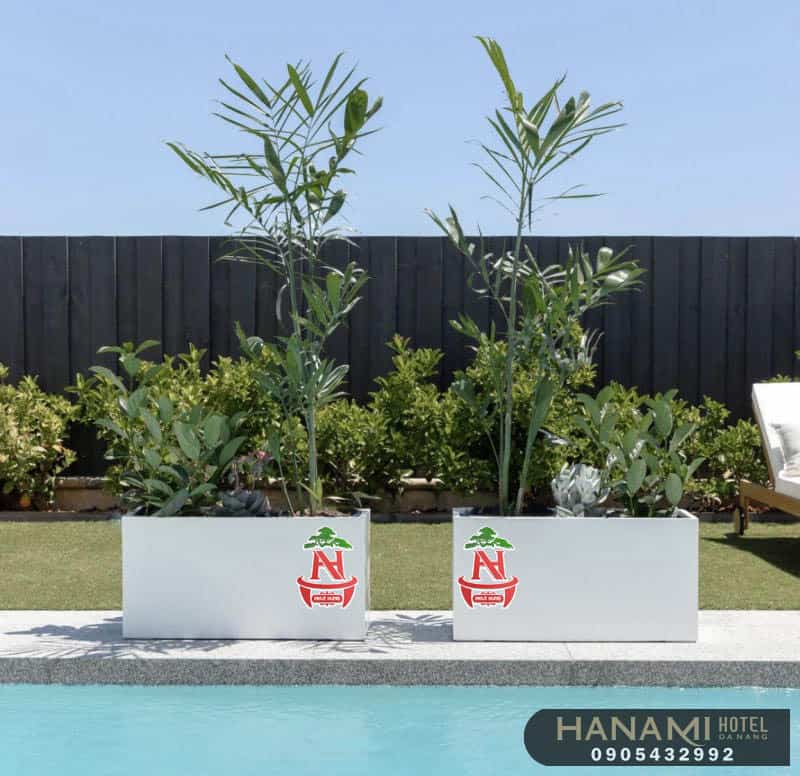 Bán chậu trồng cây tại Đà Nẵng