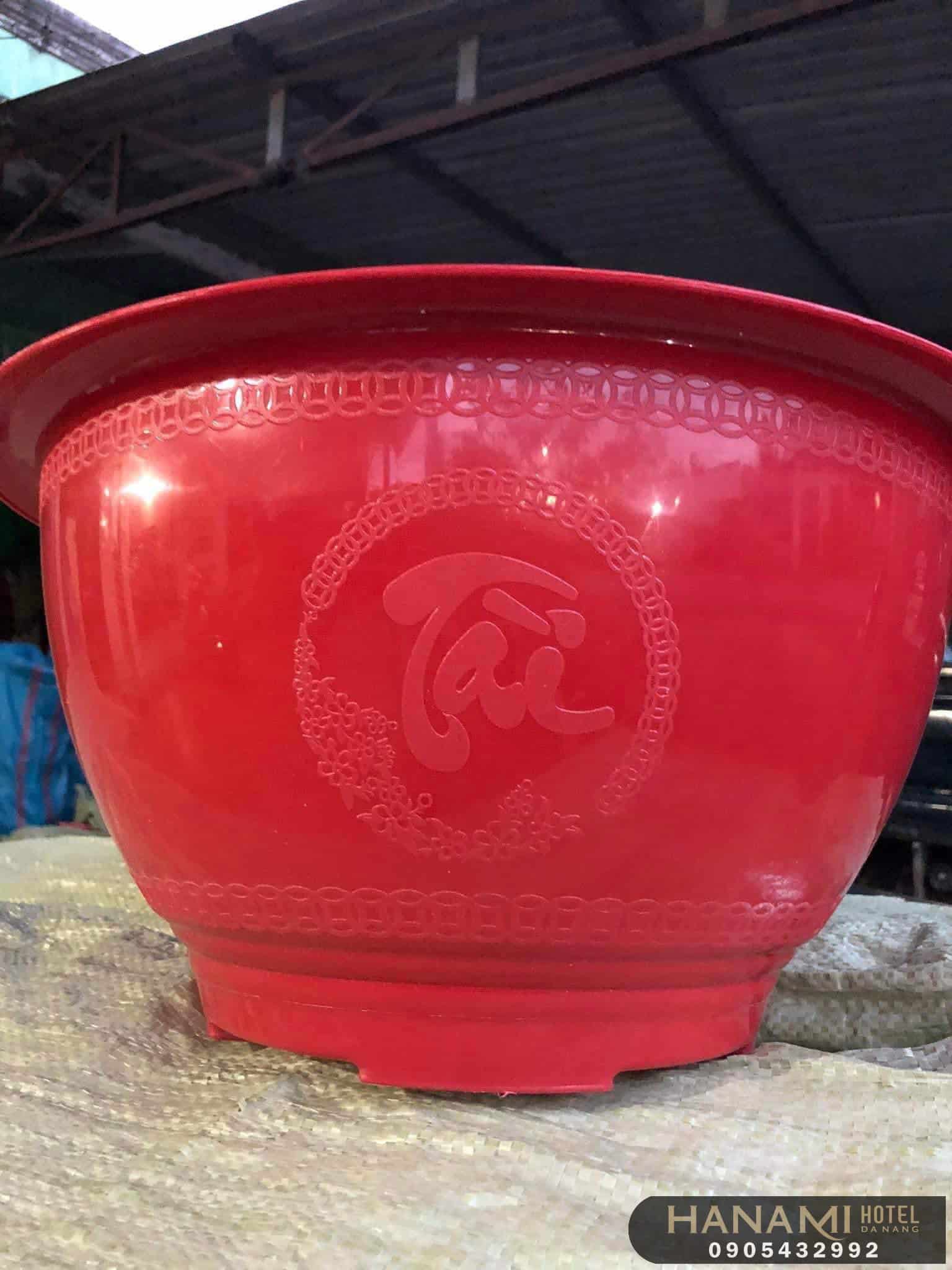 Bán chậu trồng cây tại Đà Nẵng