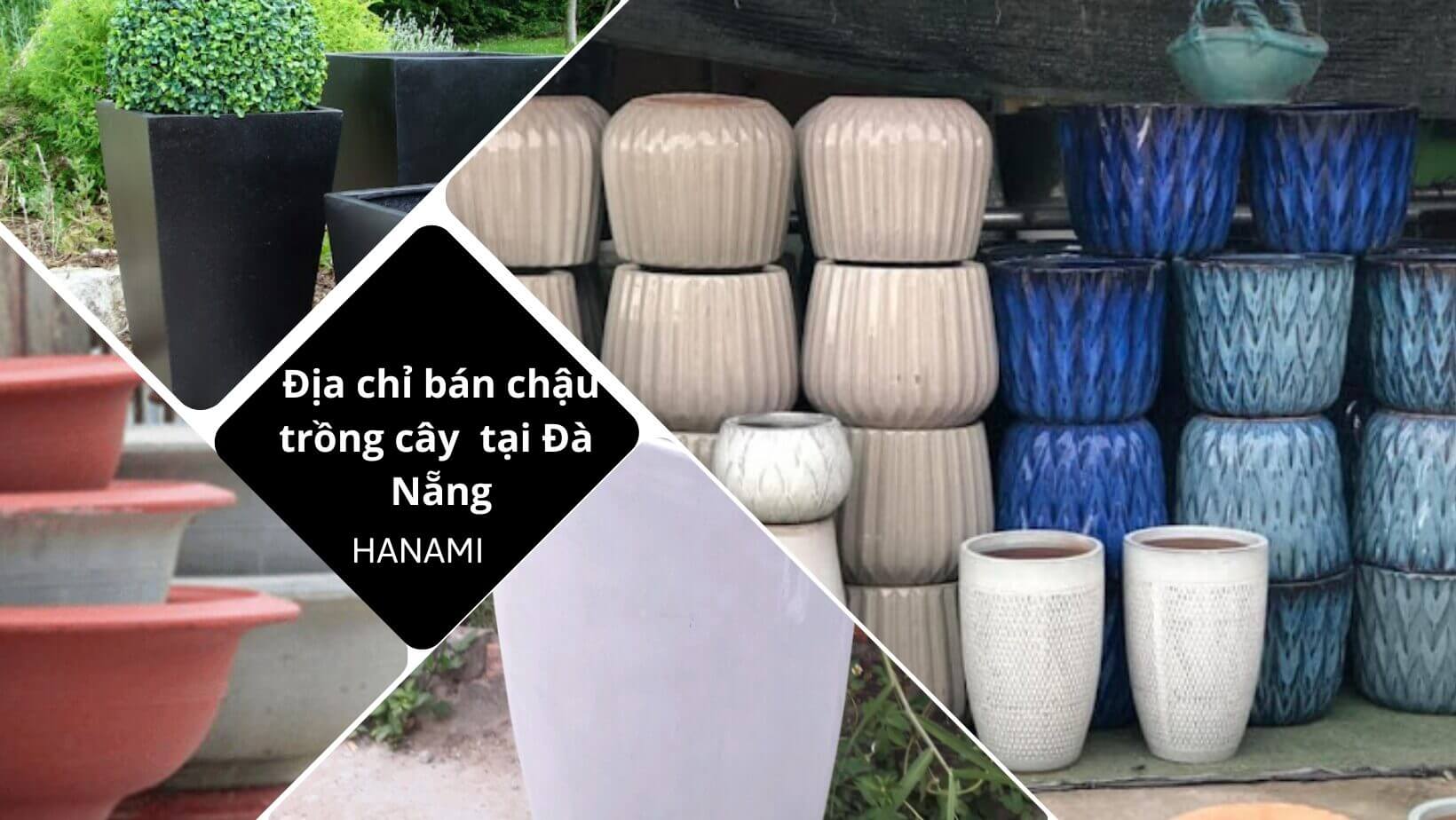 Bán chậu trồng cây tại Đà Nẵng